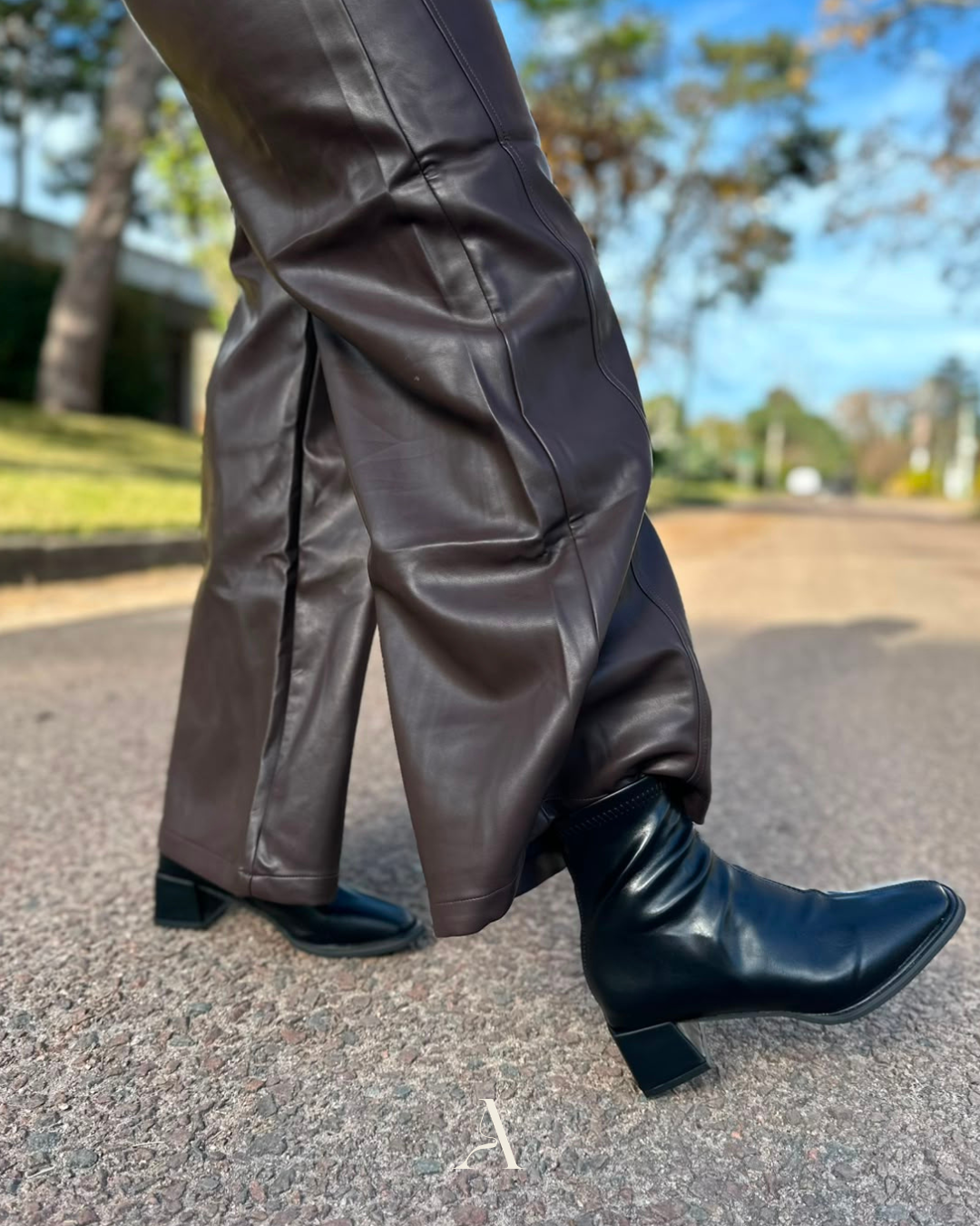 Bota